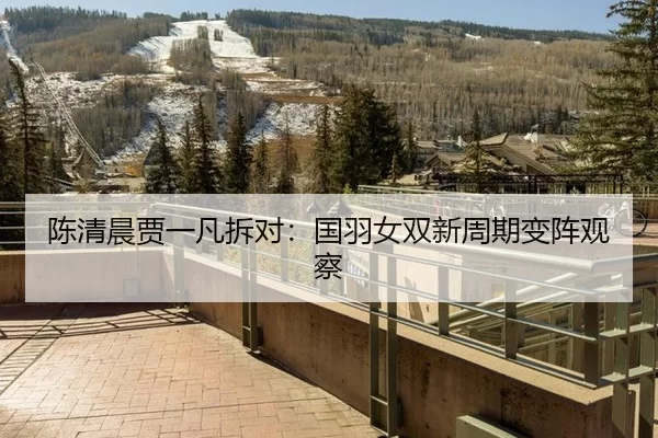 陈清晨贾一凡拆对：国羽女双新周期变阵观察